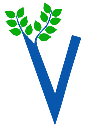 Vibrant Streets Duluth